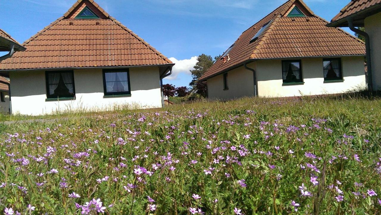 Jugendtours-feriendorf Lejlighedshotel *